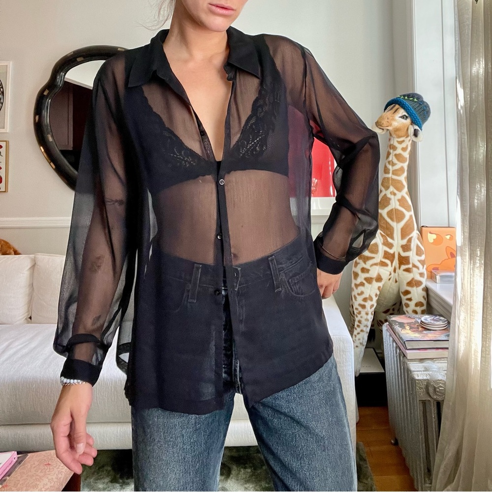 Norton Sheer Button Down Blouse